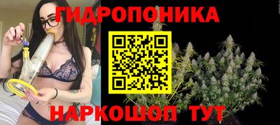 твердый Краснознаменск