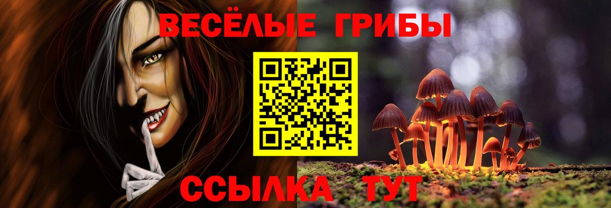 Псилоцибиновые грибы Magic Shrooms  Псилоцибиновые грибы Psilocybine cubensis  Сорочинск  Вход с VPN 